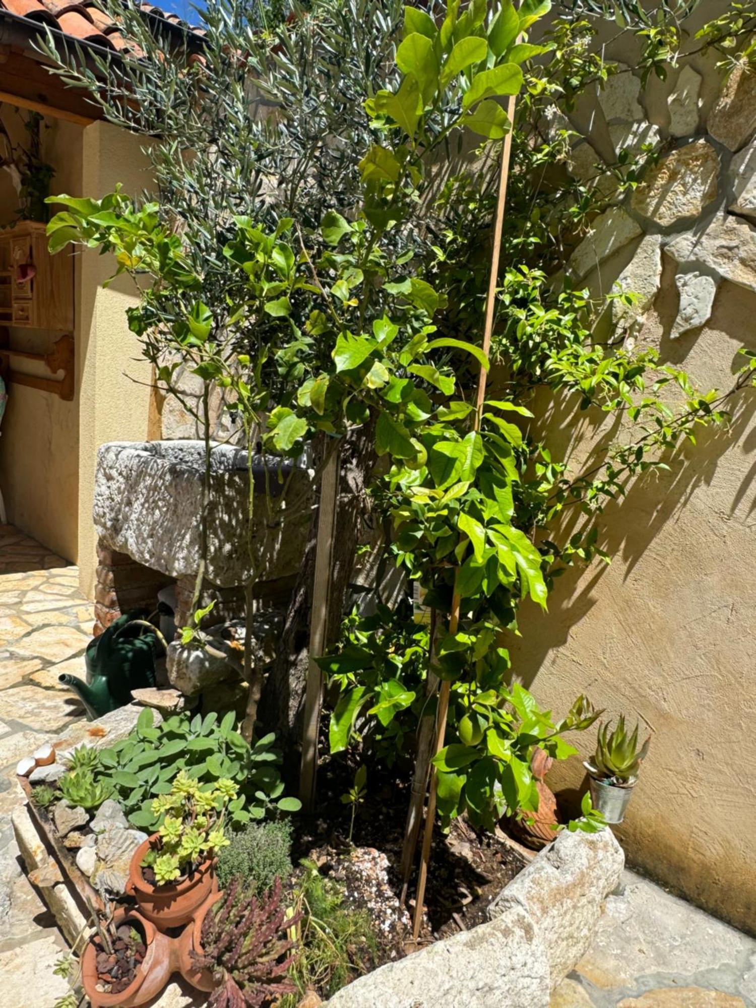 Mediterranes Ferienhaus M. Terrasse Veli Lošinj Zewnętrze zdjęcie